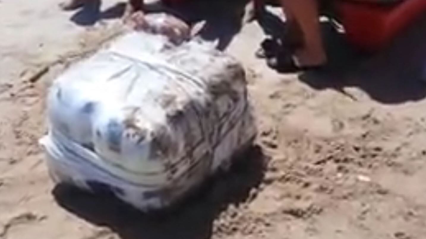Pescara, pacchi di marijuana si arenano sulla spiaggia