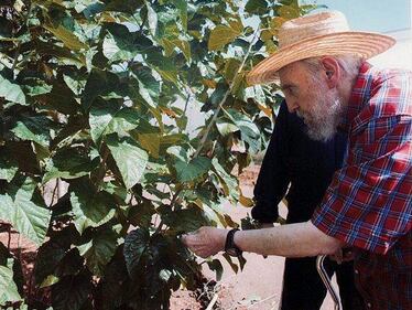 Fidel Castro? Non è morto 6