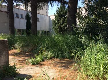 Scuole belle?  Così sono ridotte a Napoli 13