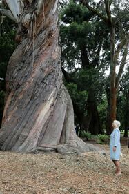 La Duchessa di Cornovaglia al Christchurch Botanic Gardens 3