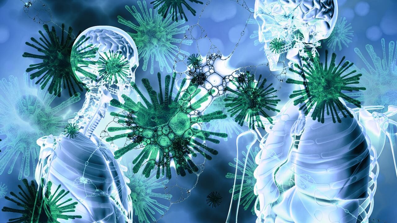 Covid, creato il nuovo atlante delle cellule polmonari colpite dal virus