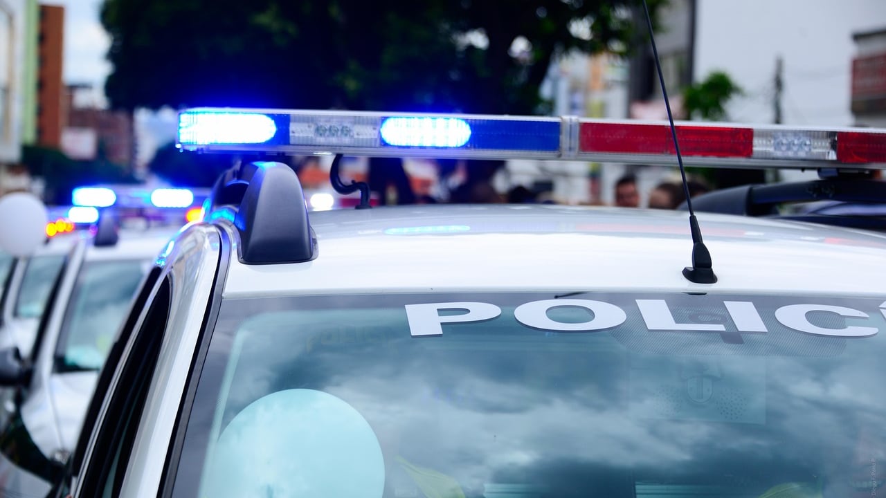 Operazione senza precedenti in Florida, 43 bambini scomparsi ritrovati in due settimane