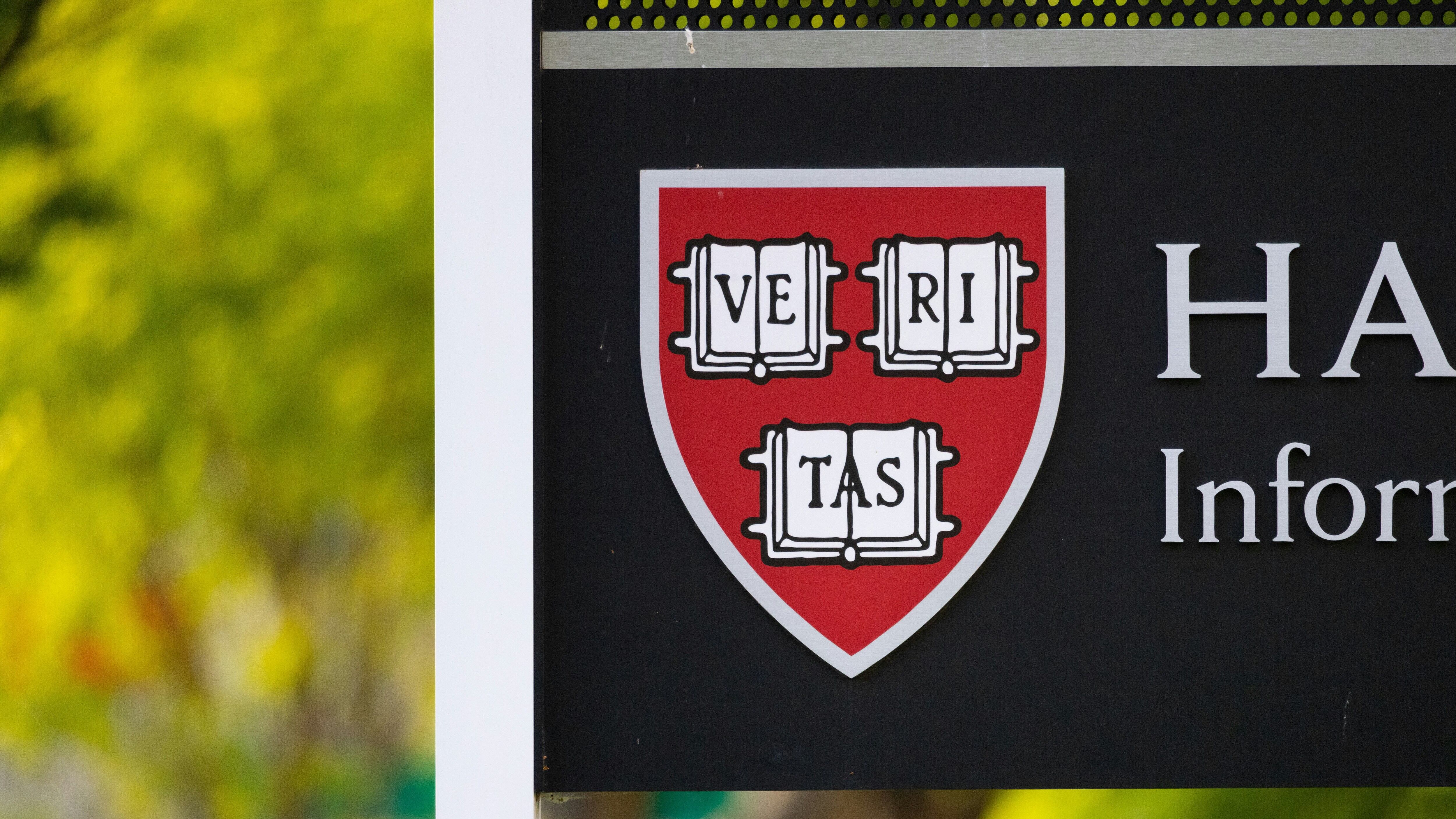 L'università ha un problema con la libertà (e Trump non c'entra)