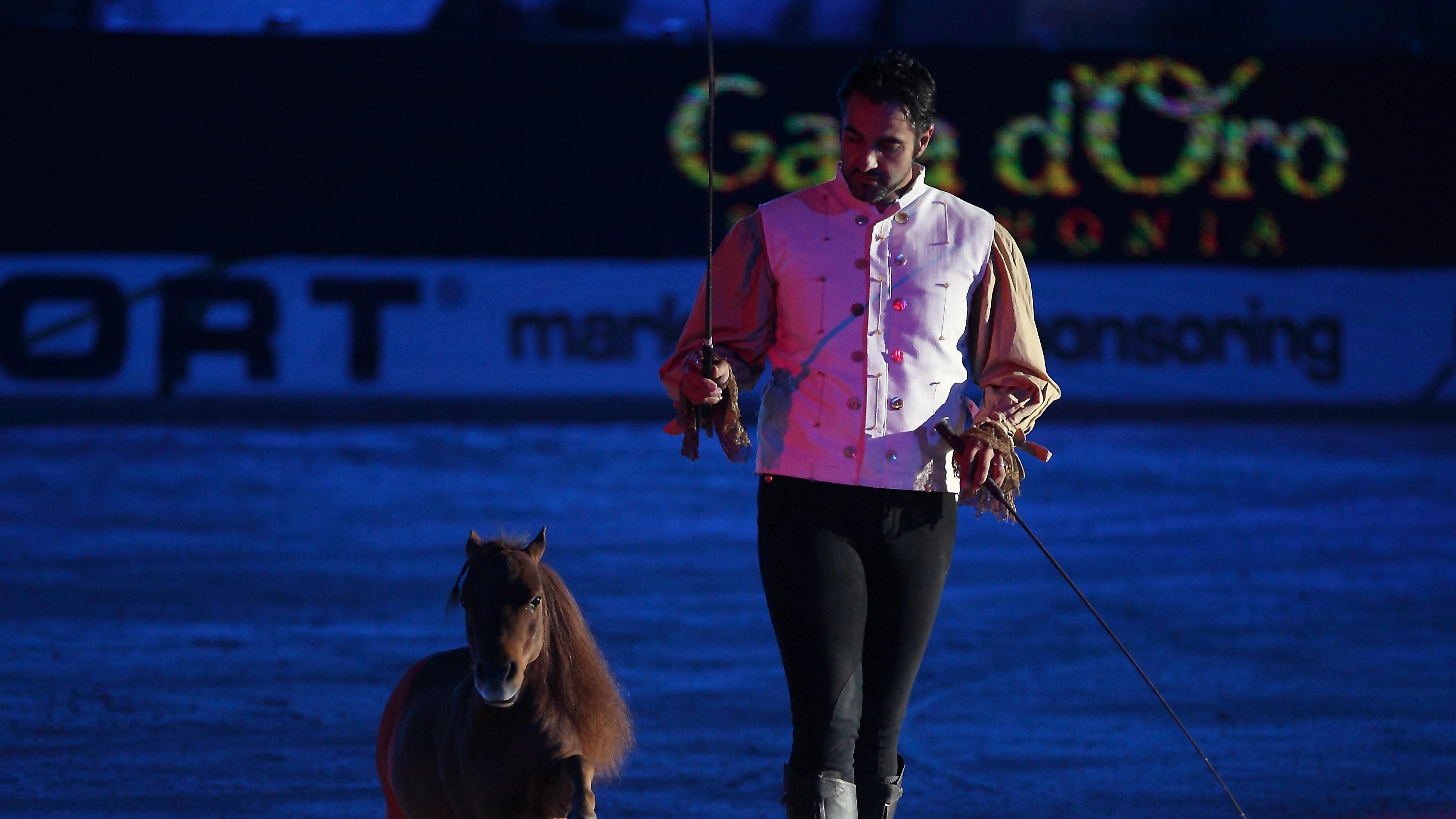 Ritrovato Charlie, il pony più piccolo al mondo