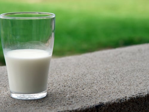 Latte d'asina per i neonati prematuri