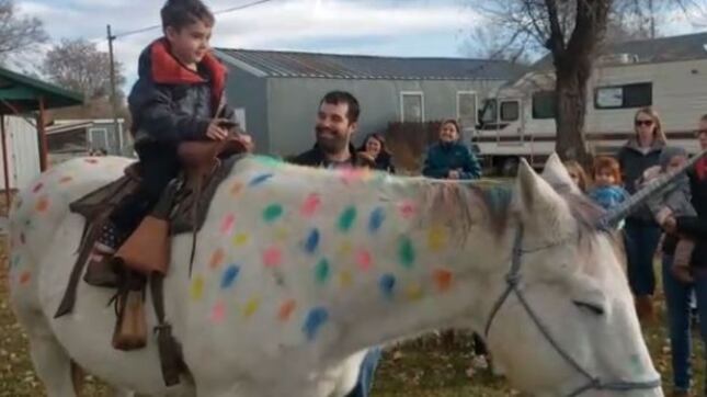 Stati Uniti, ha il cancro ma sogna di cavalcare un unicorno: esaudito il desiderio del bimbo malato