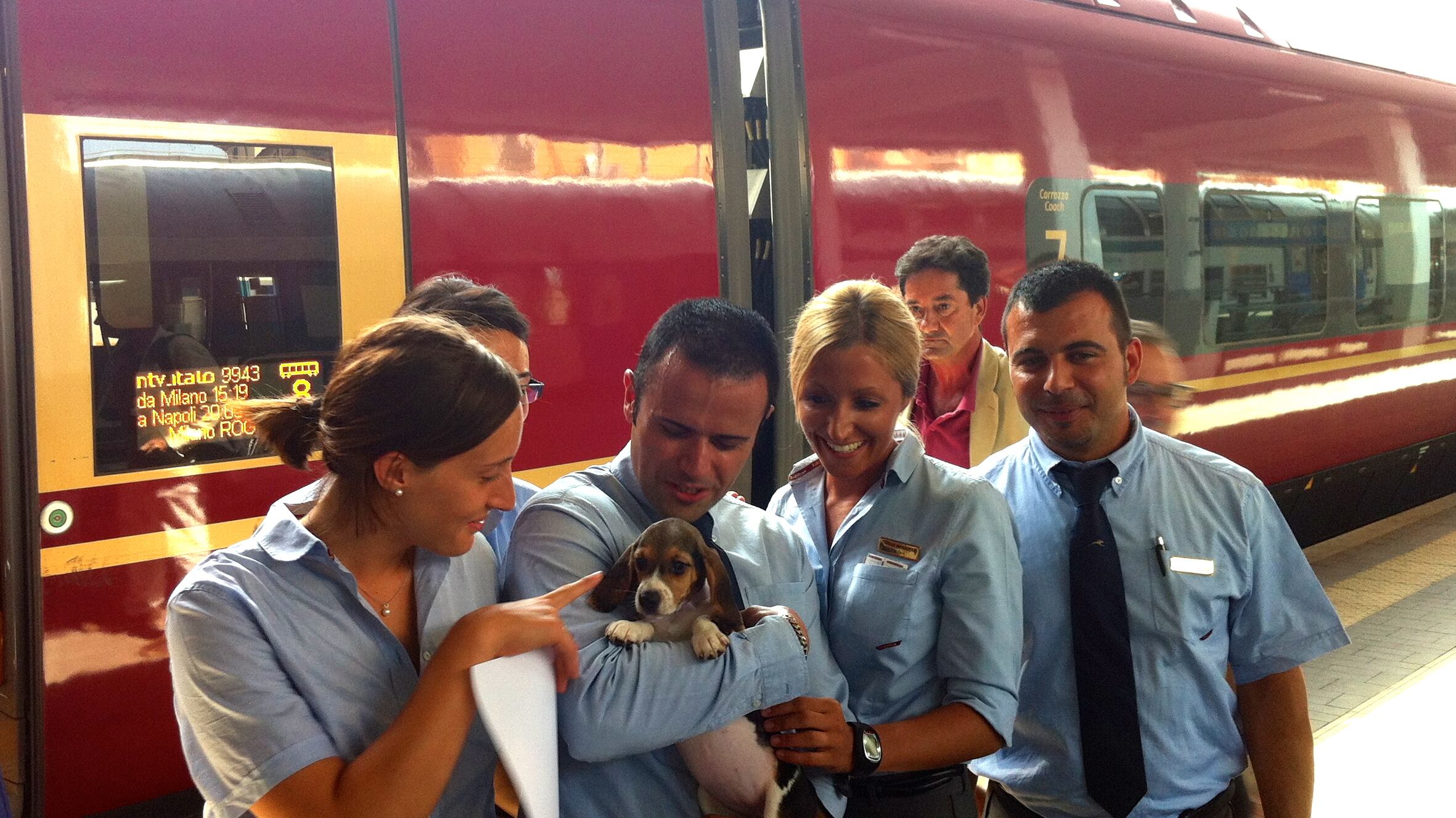 Green Hill, affidati i primi beagle. Brambilla sprona il Senato: "Ora approvare la legge"