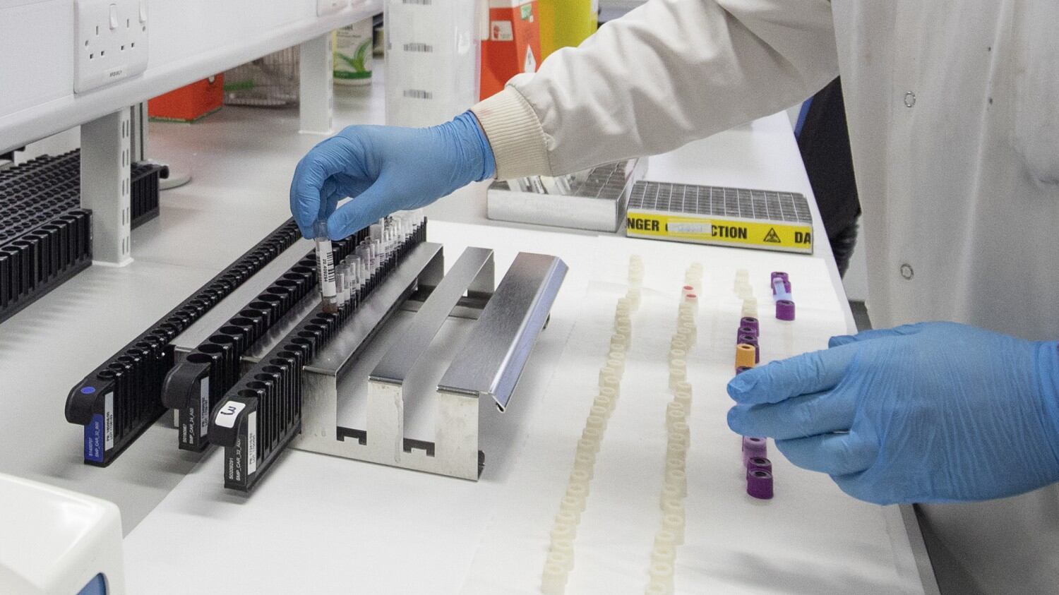 Coronavirus, un vaccino tradizionale funziona sugli animali