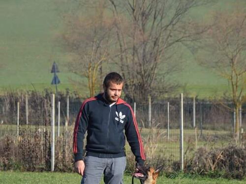 Addestratore sbranato da un cane nel Torinese