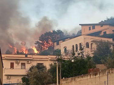 Palermo circondata dal fuoco, chiuso l'aeroporto. I roghi bloccano i soccorsi: muore un'anziana 1