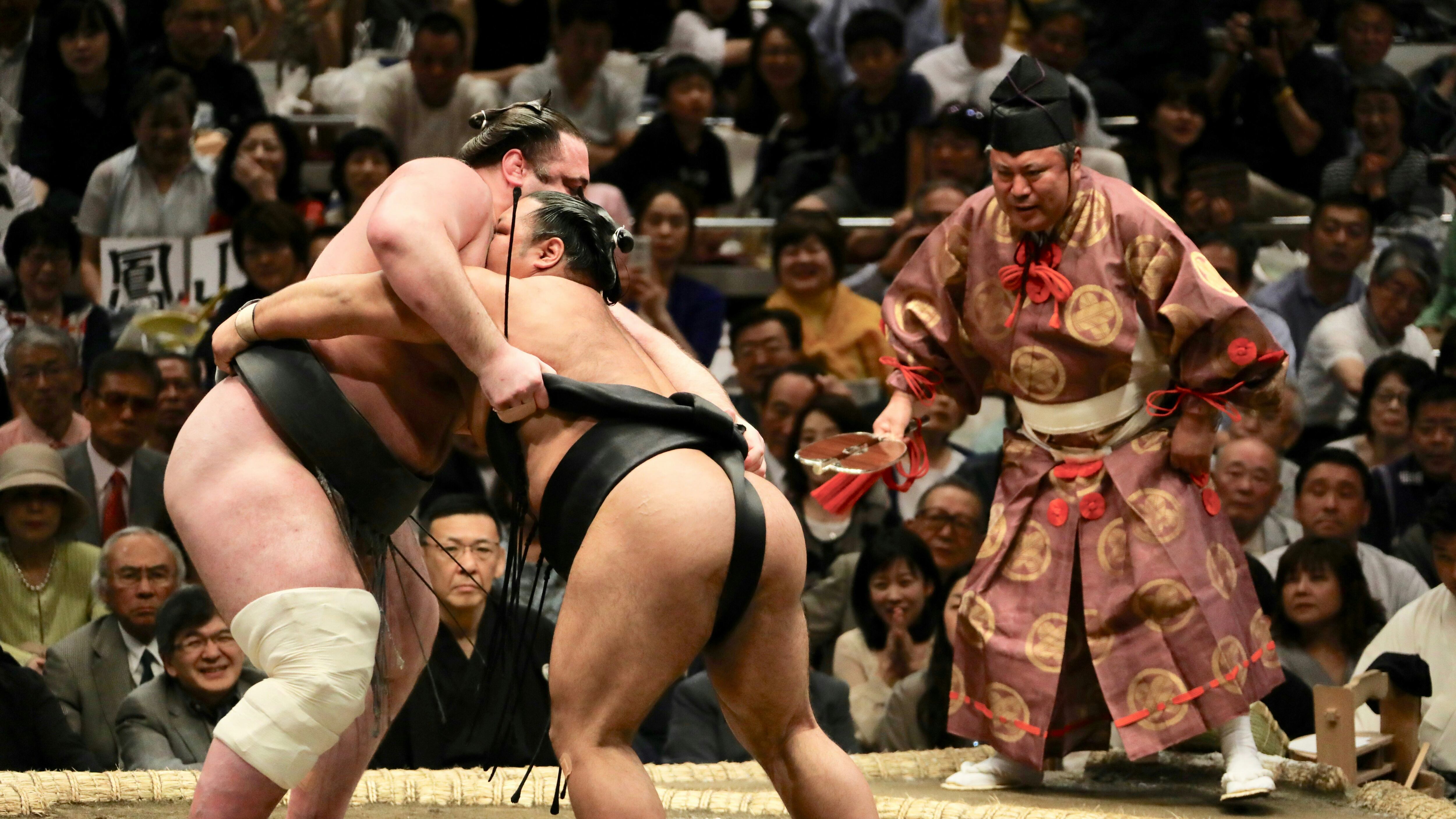 Cogito, ergo sumo