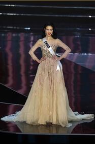 Miss Universo, lo spettacolo dei costumi più belli 5