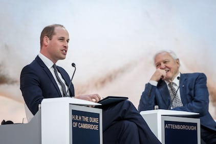 Il Principe William al World Economic Forum 11