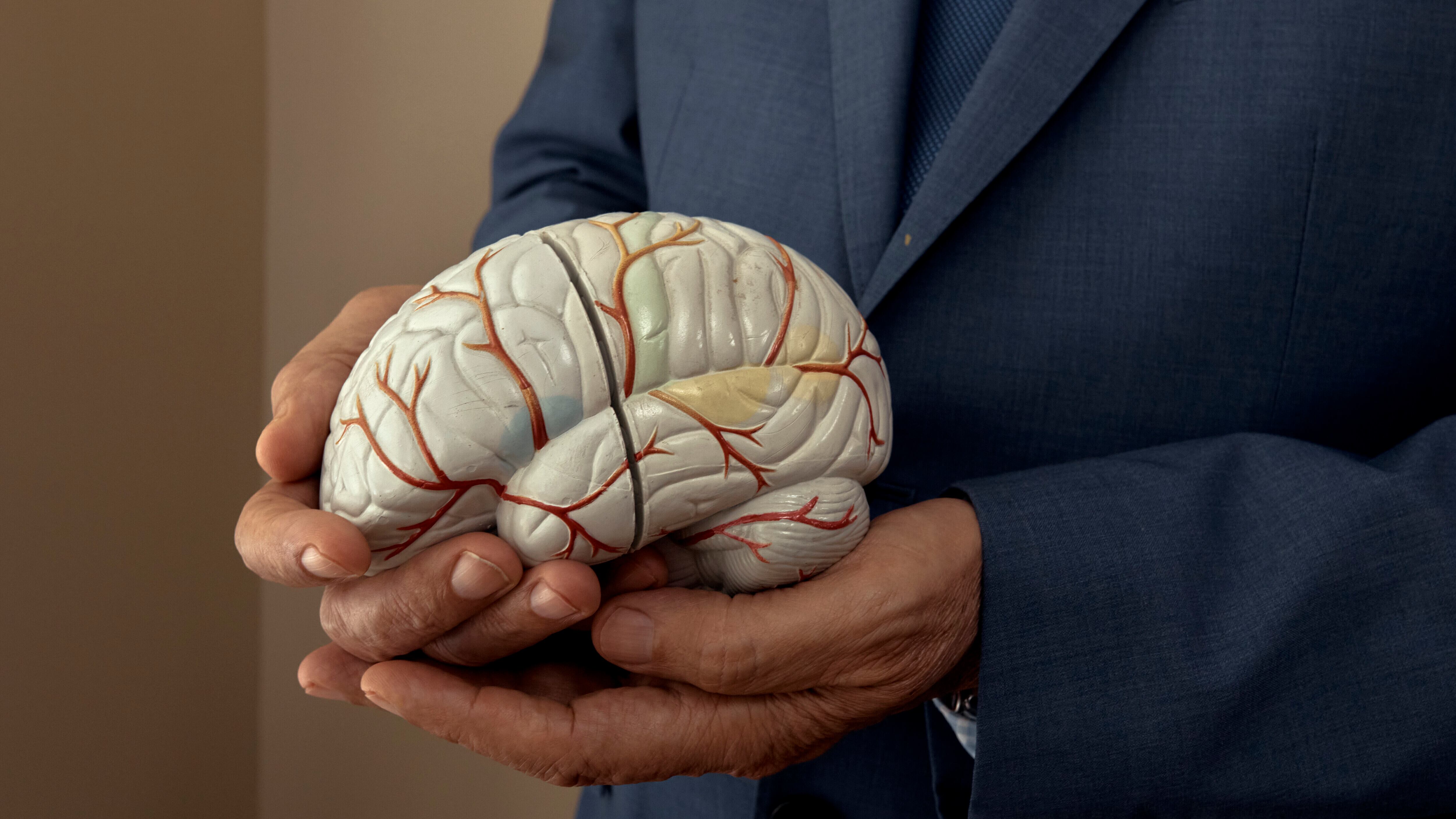 Un trilione di bit al secondo: ecco quanto corre veloce il cervello umano