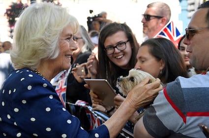 Camilla Parker Bowles, le foto della duchessa 15