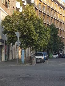 Roma, la segnaletica stradale cade a pezzi 4