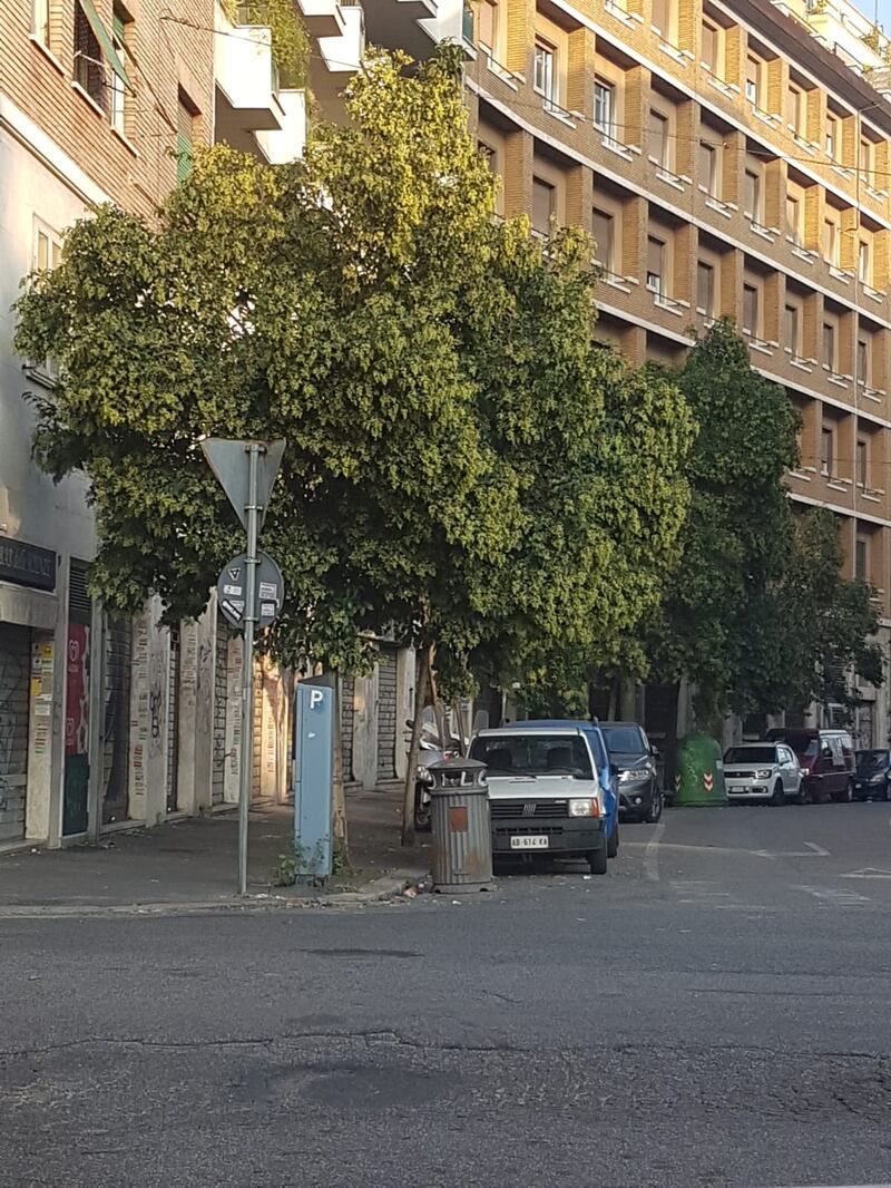 Roma, la segnaletica stradale cade a pezzi 4