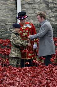 Torre di Londra, il campo di papaveri per l'"Armistice Day" 12