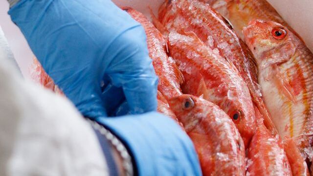 Col “Mercato del Pesce” Longino&Cardenal accorcia la filiera