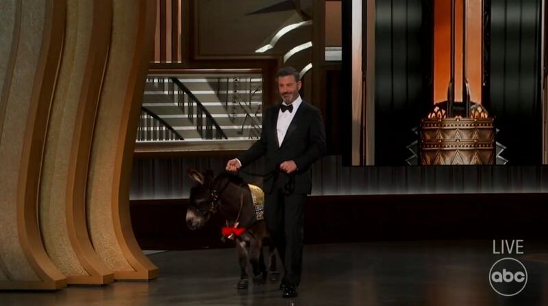 L'asinella Jenny sul palco con Jimmy Kimmel