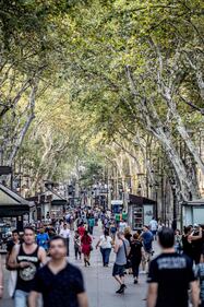 Barcellona, il giorno dopo 20