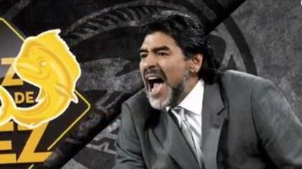 Maradona si presenta in Messico: "Ero a pezzi ma sono rinato. Darò tutto"