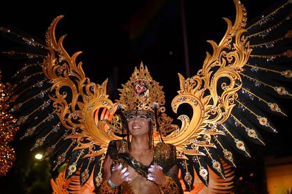 Brasile: la sfarzosa dei carri di Carnevale 3