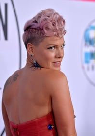 Pink, le immagini più belle 4