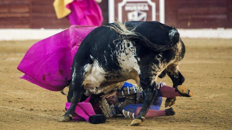 Toro incorna il matador 1