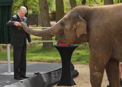 La Regina Elisabetta va allo zoo a vedere gli elefanti 7