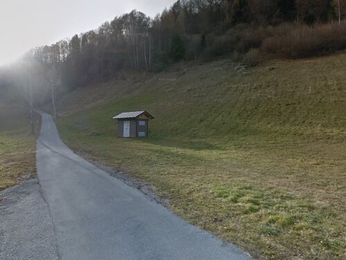 Fugatti firma l'ordinanza: l'orsa F36 sarà abbattuta in Trentino