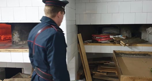 Pane e carciofi sequestrati a Napoli: le immagini dei carabinieri 2