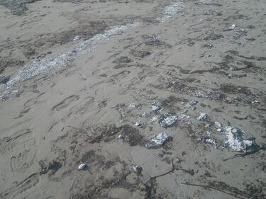 Mondello, si spezza un pontile galleggiante e la spiaggia viene invasa dal polistirolo 1