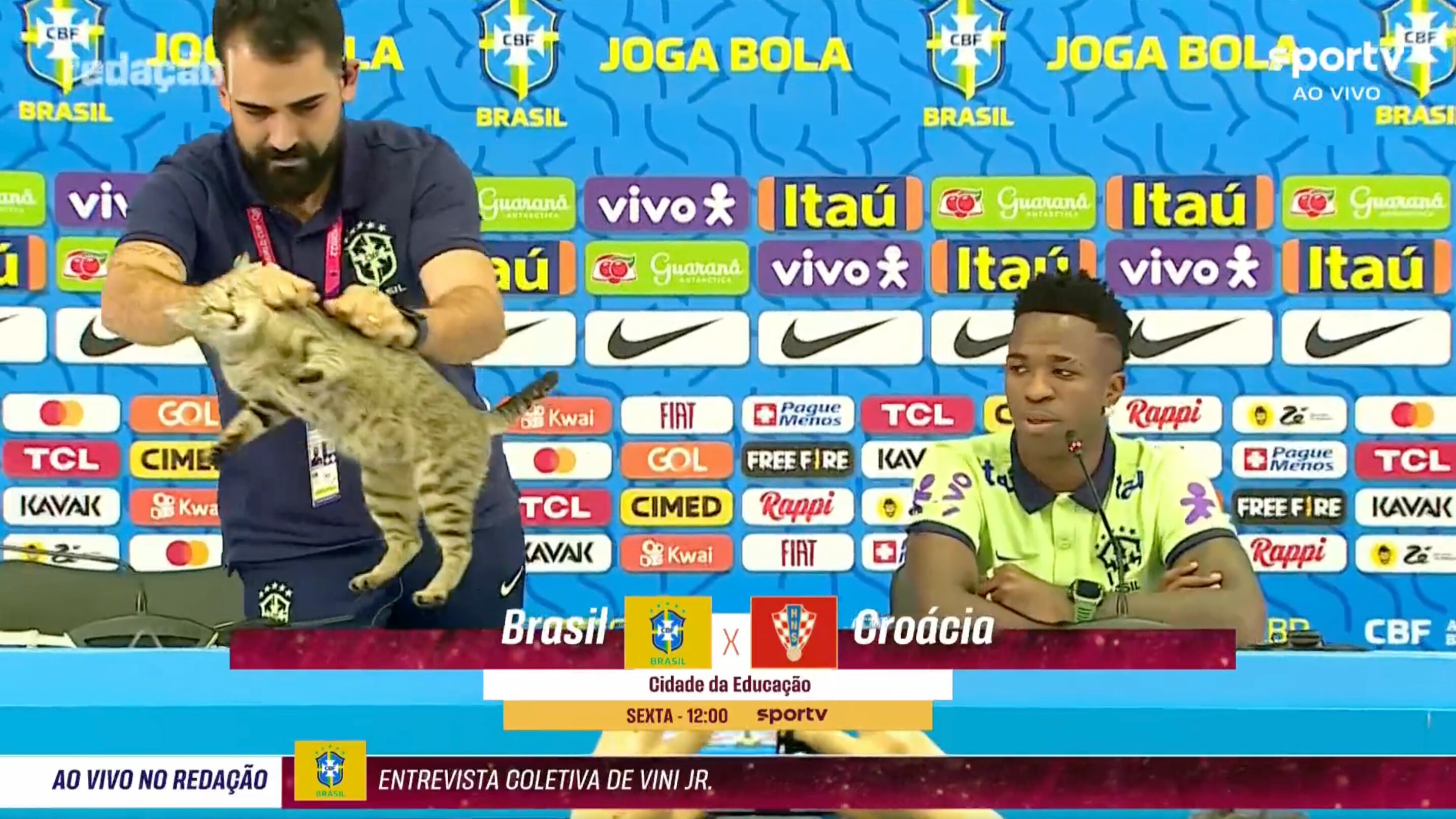 Il gatto interrompe la conferenza e viene lanciato via: il gesto choc