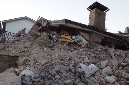 Lady Gaga per il terremoto: foto 34