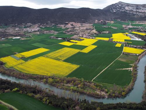 Record per l’agricoltura italiana: prima per valore aggiunto in Ue. Meloni: "La strada è quella giusta"