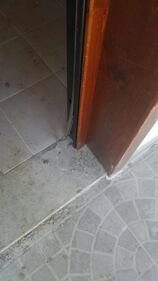Le foto delle casette per terremotati di Sarnano 4