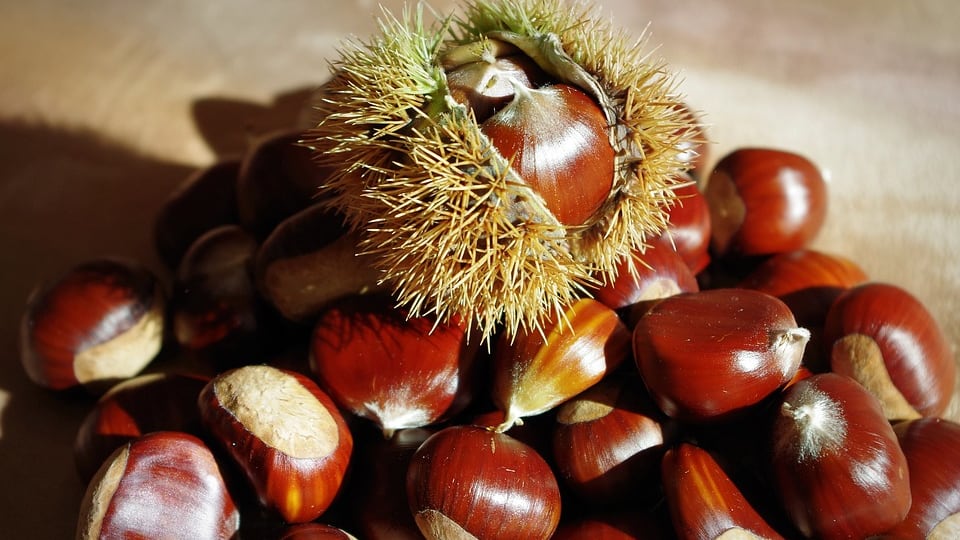 Le castagne sono un vero benessere autunnale