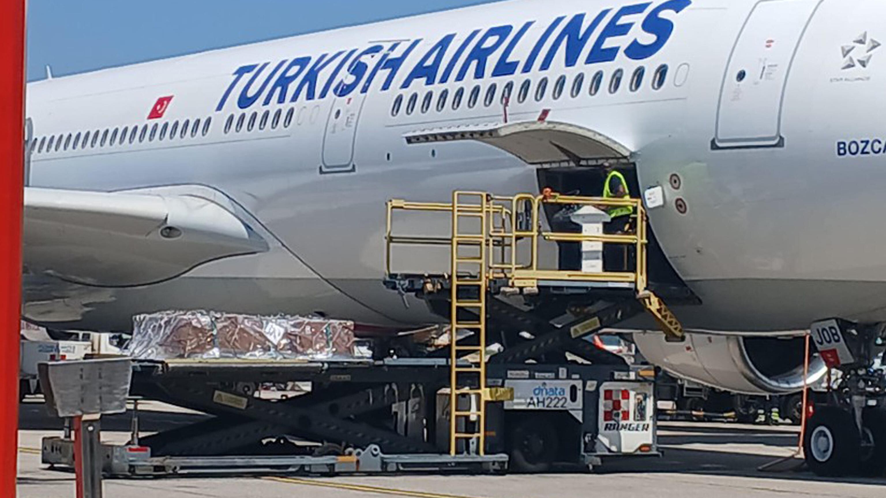 Maldive, le salme dei quattro sub italiani arrivate a Malpensa. Lunedì la prima autopsia