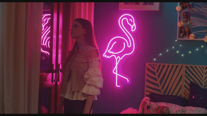 Charlotte M. - Il Film Flamingo Party 3