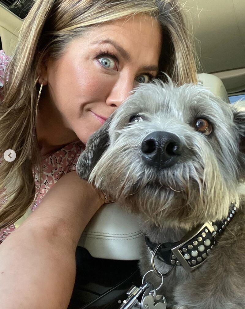 Jennifer Aniston vota alle primarie, foto 8