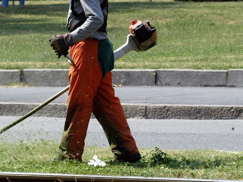 L’eredità dei 5 Stelle: Roma trasformata in una savana
