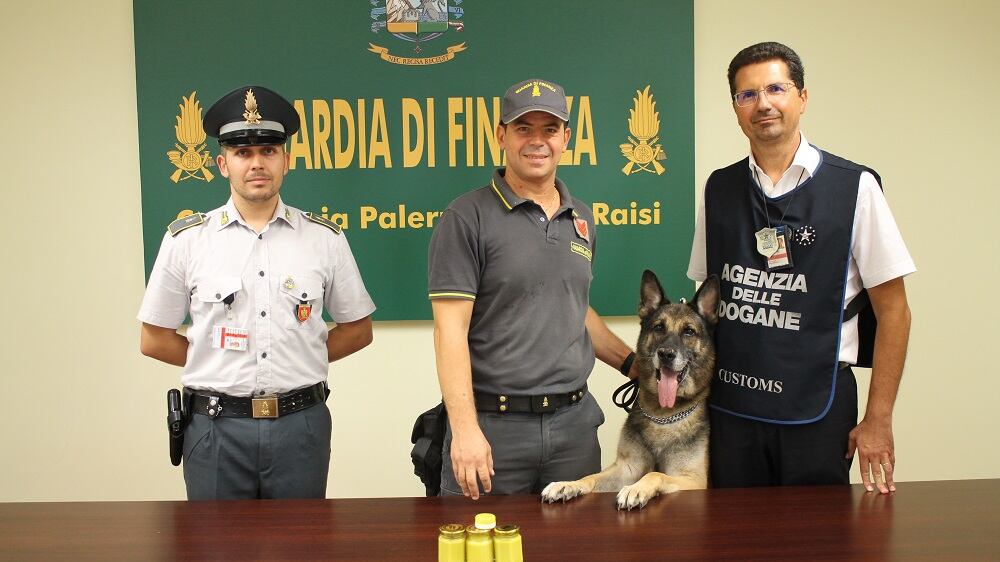 Così i cani Ugo e Alex fiutano la droga nelle parti intime