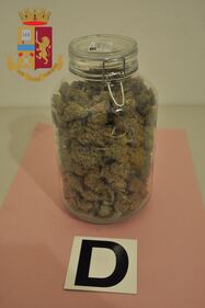 Quel pub dove accanto al caffè spuntava anche la marijuana 2