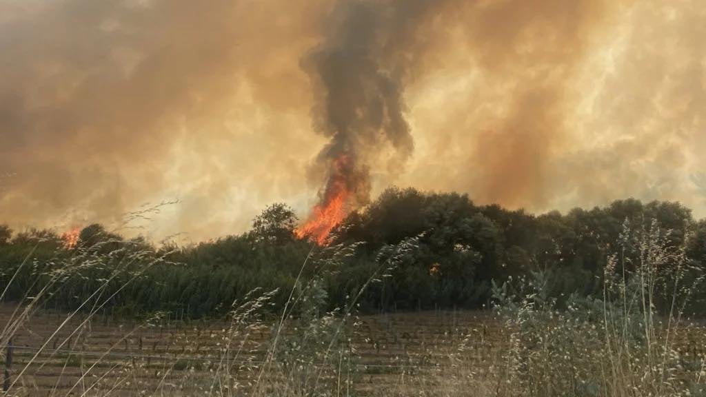 Incendio in un villaggio turistico del Crotonese: oltre 180 persone evacuate