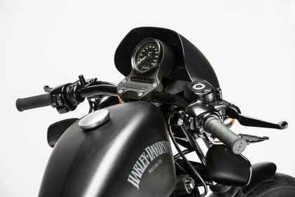 Harley-Davidson Iron 883 Special Edition S 19