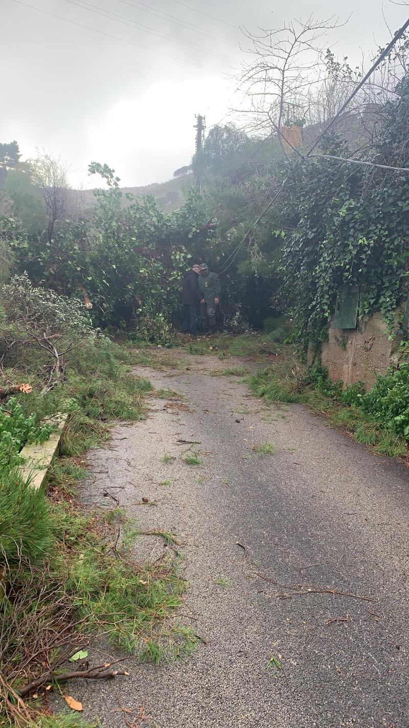 Alberi sradicati, tettoie divelte: l'incubo del vento in Sicilia 6