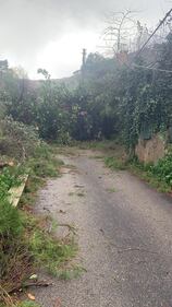 Alberi sradicati, tettoie divelte: l'incubo del vento in Sicilia 6