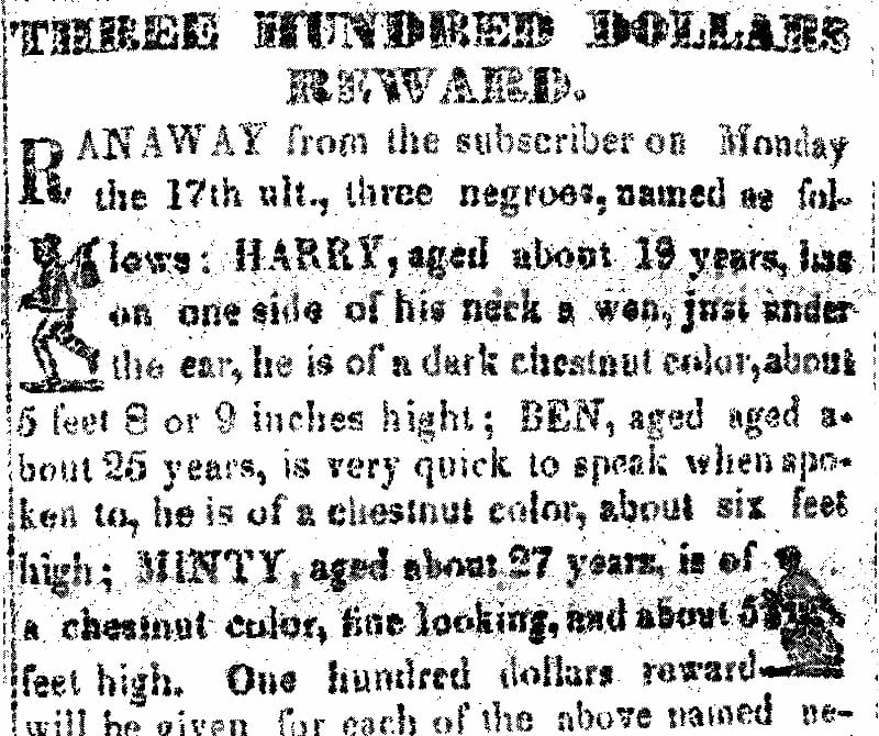 Taglia su Harriet Tubman