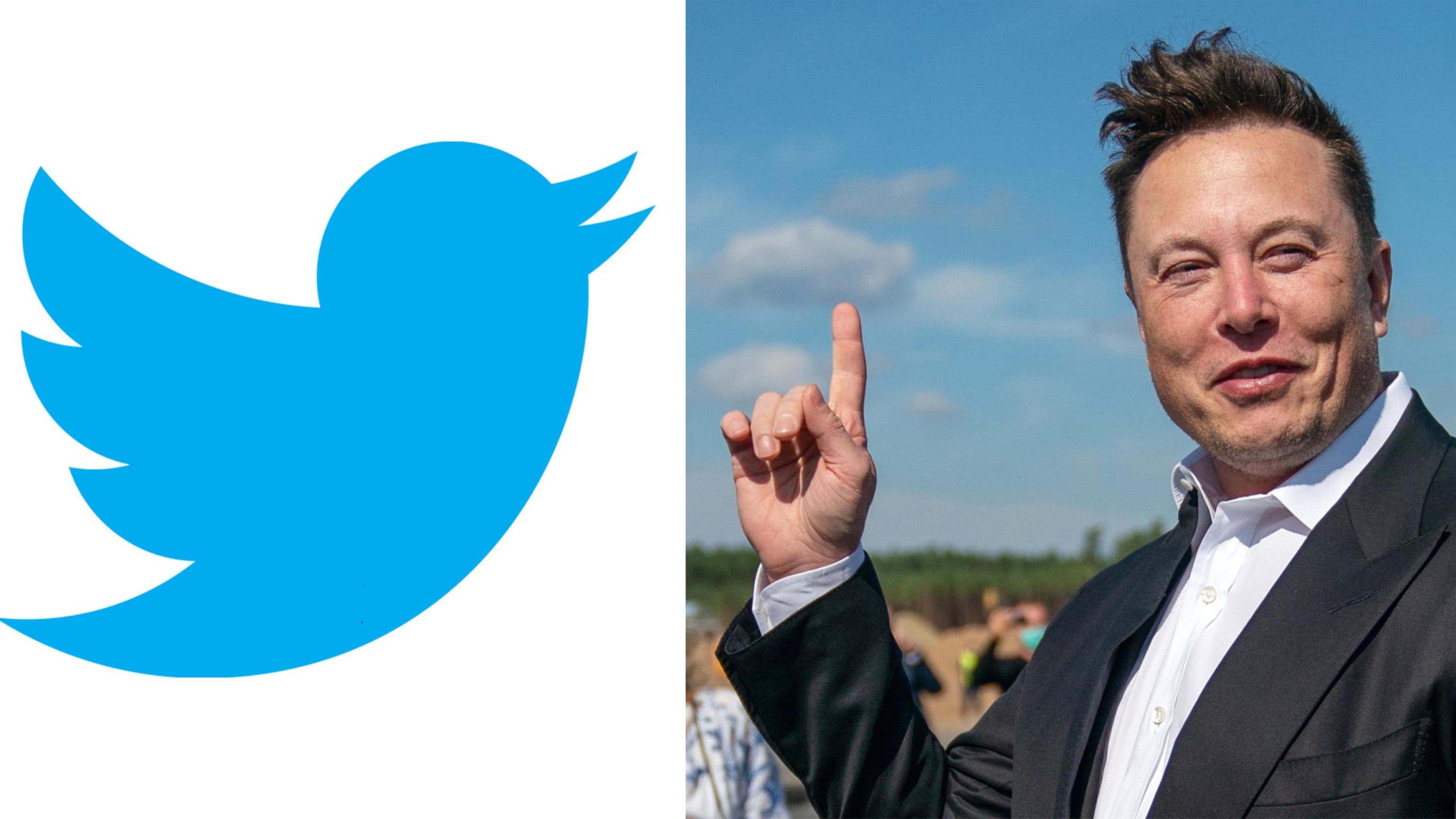 "In arrivo vocali e videochiamate". L'ultima svolta di Twitter